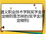 遵义职业技术学院奖学金评定细则是怎样的(奖学金评定细则)