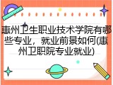 惠州卫生职业技术学院有哪些专业，就业前景如何(惠州卫职院专业就业)