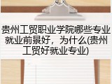 贵州工贸职业学院哪些专业就业前景好，为什么(贵州工贸好就业专业)