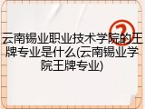 云南锡业职业技术学院的王牌专业是什么(云南锡业学院王牌专业)