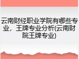 云南财经职业学院有哪些专业，王牌专业分析(云南财院王牌专业)