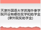 天津外国语大学滨海外事学院开设有哪些奖学和助学金(津外院奖助学金)