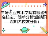 曲靖职业技术学院有哪些知名校友，简单分析(曲靖职院知名校友分析)