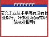 南充职业技术学院有没有就业指导，好就业吗(南充职院就业指导)