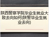 陕西警察学院毕业生就业大致去向如何(陕警毕业生就业去向)