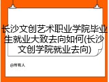 长沙文创艺术职业学院毕业生就业大致去向如何(长沙文创学院就业去向)
