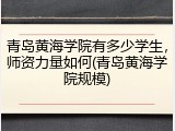 青岛黄海学院有多少学生，师资力量如何(青岛黄海学院规模)