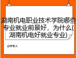 湖南机电职业技术学院哪些专业就业前景好，为什么(湖南机电好就业专业)
