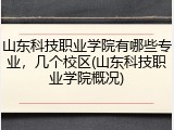 山东科技职业学院有哪些专业，几个校区(山东科技职业学院概况)