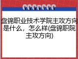 盘锦职业技术学院主攻方向是什么，怎么样(盘锦职院主攻方向)