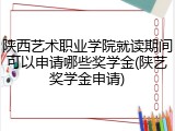 陕西艺术职业学院就读期间可以申请哪些奖学金(陕艺奖学金申请)