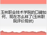 玉林职业技术学院的口碑如何，现在怎么样了(玉林职院评价现状)