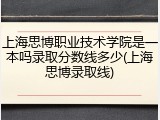 上海思博职业技术学院是一本吗录取分数线多少(上海思博录取线)