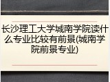 长沙理工大学城南学院读什么专业比较有前景(城南学院前景专业)