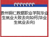 贵州铜仁数据职业学院毕业生就业大致去向如何(毕业生就业去向)
