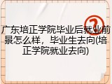 广东培正学院毕业后就业前景怎么样，毕业生去向(培正学院就业去向)