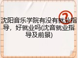 沈阳音乐学院有没有就业指导，好就业吗(沈音就业指导及前景)