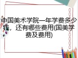 中国美术学院一年学费多少钱，还有哪些费用(国美学费及费用)
