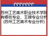 苏州工艺美术职业技术学院有哪些专业，王牌专业分析(苏州工艺美术专业分析)