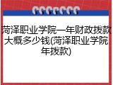 菏泽职业学院一年财政拨款大概多少钱(菏泽职业学院年拨款)