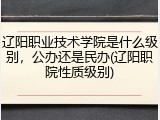 辽阳职业技术学院是什么级别，公办还是民办(辽阳职院性质级别)