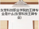 东营科技职业学院的王牌专业是什么(东营科技王牌专业)