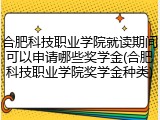 合肥科技职业学院就读期间可以申请哪些奖学金(合肥科技职业学院奖学金种类)