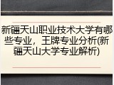 新疆天山职业技术大学有哪些专业，王牌专业分析(新疆天山大学专业解析)