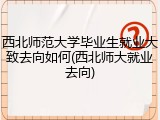 西北师范大学毕业生就业大致去向如何(西北师大就业去向)