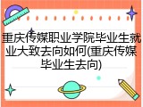 重庆传媒职业学院毕业生就业大致去向如何(重庆传媒毕业生去向)