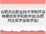 合肥共达职业技术学院开设有哪些奖学和助学金(合肥共达奖学金助学金)