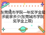 东莞城市学院一年奖学金最多能拿多少(东莞城市学院奖学金上限)