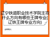 辽宁铁道职业技术学院主攻什么方向有哪些王牌专业(辽铁王牌专业方向)