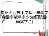 宿州职业技术学院一年奖学金最多能拿多少(宿职院最高奖学金)