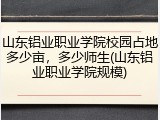 山东铝业职业学院校园占地多少亩，多少师生(山东铝业职业学院规模)