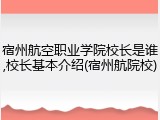 宿州航空职业学院校长是谁,校长基本介绍(宿州航院校)