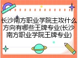 长沙南方职业学院主攻什么方向有哪些王牌专业(长沙南方职业学院王牌专业)