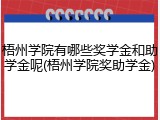 梧州学院有哪些奖学金和助学金呢(梧州学院奖助学金)
