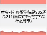重庆对外经贸学院是985还是211(重庆对外经贸学院什么等级)