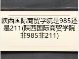 陕西国际商贸学院是985还是211(陕西国际商贸学院非985非211)