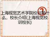 上海视觉艺术学院校训是什么，校长介绍(上海视觉校训校长)