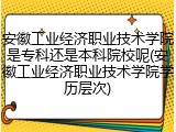 安徽工业经济职业技术学院是专科还是本科院校呢(安徽工业经济职业技术学院学历层次)