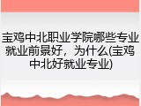 宝鸡中北职业学院哪些专业就业前景好，为什么(宝鸡中北好就业专业)