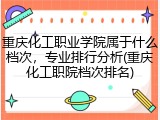 重庆化工职业学院属于什么档次，专业排行分析(重庆化工职院档次排名)