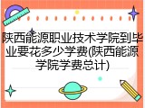 陕西能源职业技术学院到毕业要花多少学费(陕西能源学院学费总计)