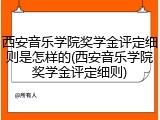 西安音乐学院奖学金评定细则是怎样的(西安音乐学院奖学金评定细则)