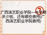 广西演艺职业学院一年学费多少钱，还有哪些费用(广西演艺职业学院费用)