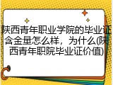 陕西青年职业学院的毕业证含金量怎么样，为什么(陕西青年职院毕业证价值)