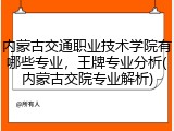内蒙古交通职业技术学院有哪些专业，王牌专业分析(内蒙古交院专业解析)