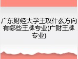 广东财经大学主攻什么方向有哪些王牌专业(广财王牌专业)